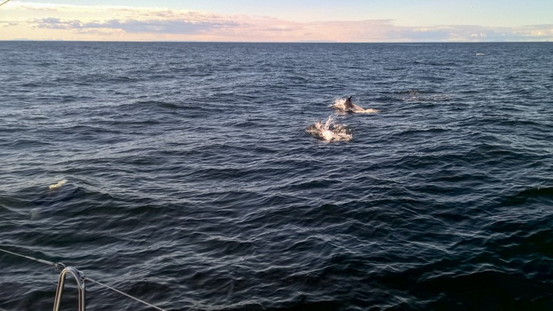 Faroe-iceland-6