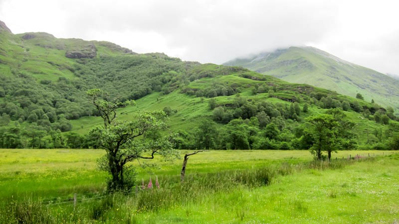Caledoniakanalen 35