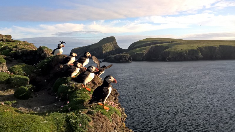 Inverness-Lerwick-8