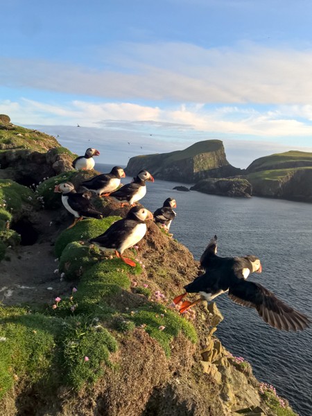 Inverness-Lerwick-9