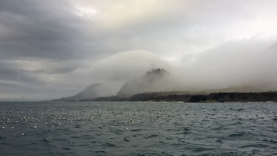 Jan Mayen blogg-44