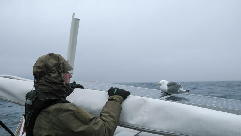 Svabard blogg-84