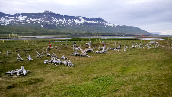 Island blogg-15