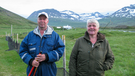 Island blogg-22