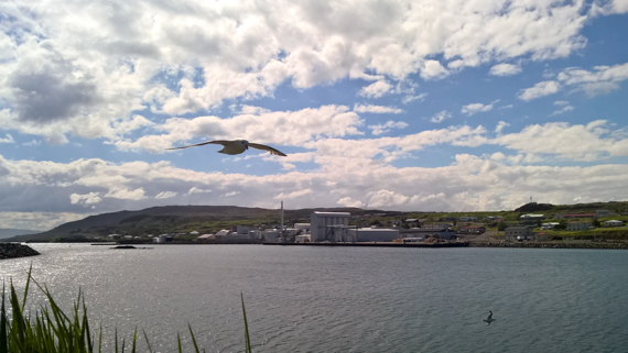 Island blogg-32