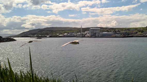 Island blogg-34