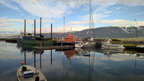 Island blogg-47