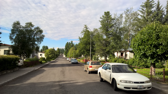 Island blogg-53